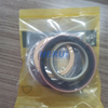 E312 Arm Cylinder Repair Seal Kit