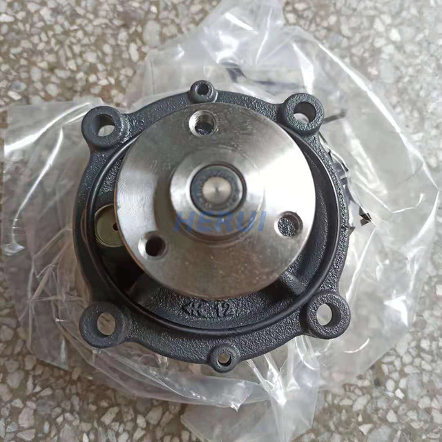 Ecavatore EC210 di alta qualità D5E Pompa dell'acqua per D5E Refrigerante pompa